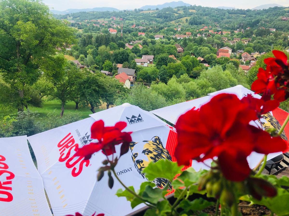 Pensiunea Ursulet Bran Bran  Bagian luar foto