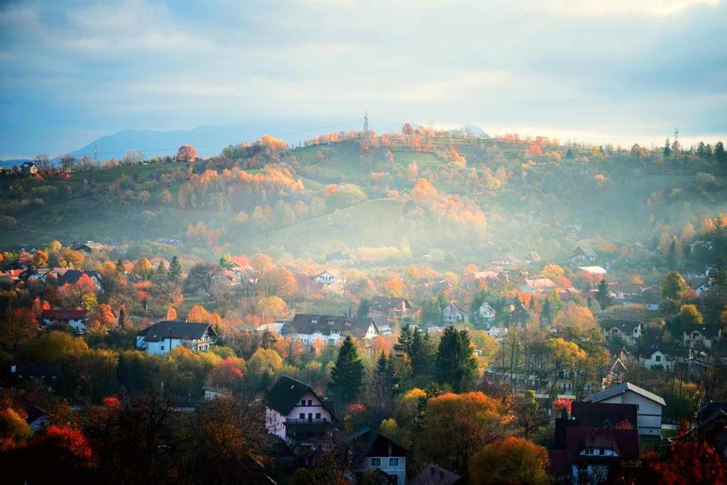 Pensiunea Ursulet Bran Bran  Bagian luar foto